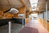 18 - Hochwertiges Anwesen mit moderner Ausstattung und eigener Reitanlage