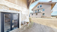 02242025_104136 - Gepflegtes Reiteranwesen mit schönem Wohnhaus und ca. 5,4 Hektar Grund in toller Lage
