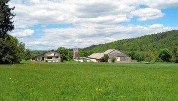 Landwirtschaftliches Anwesen mit ca. 81,5 ha Land und diversen Gebäuden/Optionen, 55758 Veitsrod