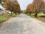 Immobilie_Melz_Dorfstr_Zufahrt Allee - Bio-zertifizierter Verarbeitungsbetrieb für Sonderkulturen (Nutz-/Heil-/Gewürz-/Öl-/Eiweißpflanzen)