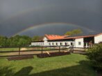 IMG_7226 - Traumhafte Reitsportanlage in bester Lage zwischen Natur, Stadt und Nordsee