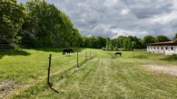 default - Traumhafte Reitsportanlage in bester Lage zwischen Natur, Stadt und Nordsee