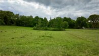 default - Traumhafte Reitsportanlage in bester Lage zwischen Natur, Stadt und Nordsee