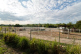 Reiterhof_117 - Exklusive Reitanlage mit modern saniertem Wohnhaus, Reithalle und großzügigen Weideflächen in Rheinhessen