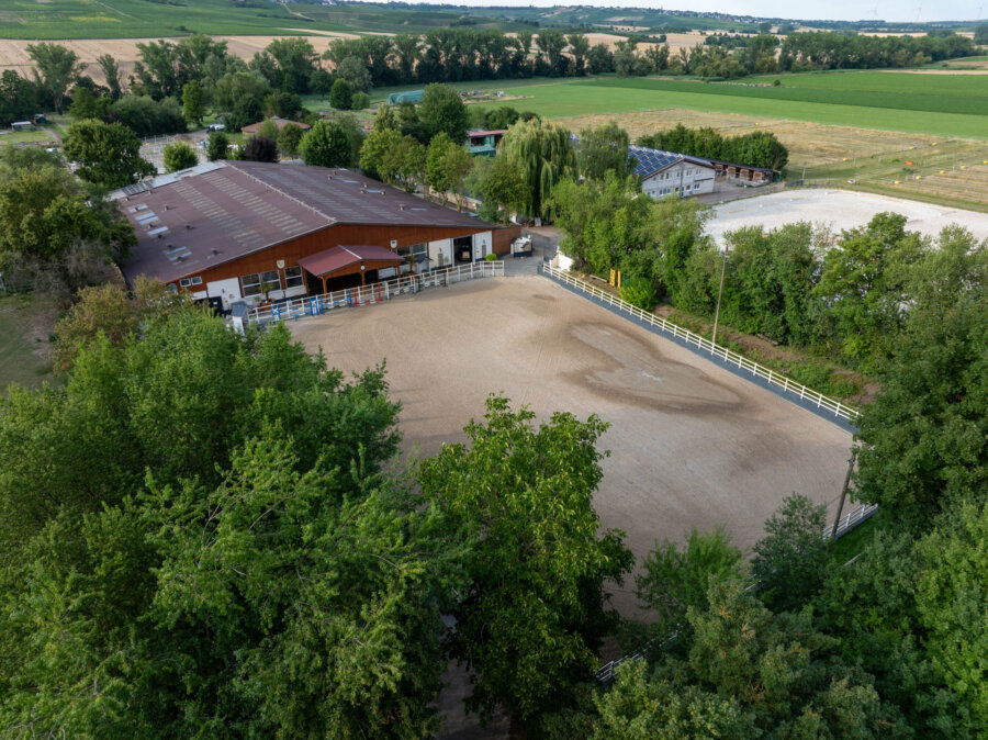Exklusive Reitanlage mit modern saniertem Wohnhaus, Reithalle und großzügigen Weideflächen in Rheinhessen, 55271 Stadecken-Elsheim