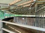 Bild - Exklusive Reitanlage im Großraum Nürnberg mit 2 Wohnhäusern – Optional weitere Gebäude und Land zu erwerben!