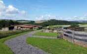 20140820_105639-lxwqtnwvldl3s72dxa0q2pz0zwagtmi911 - Hochrentable Reitanlage für artgerechte Pferdehaltung in Alleinlage -zusätzliches Land optional erwerbbar-