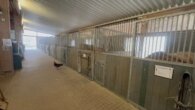 Bild - Reitanlage in Osterburken – vielseitige Nutzungsmöglichkeiten auf großzügigem Anwesen