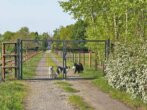 Bild - Traumhaftes Reitanwesen auf 2,8 ha in idyllischer Alleinlage – 2–3 Wohneinheiten, 23 Pferdeboxen und moderne Solartechnik