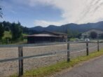 Bild - Exklusive Reitsportanlage mit Wohn- und Renditepotenzial im Allgäu