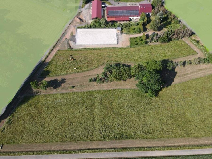 Exklusives Anwesen mit Wohnhaus, Reitanlage, Werkstatt und Photovoltaik – Sofort bezugsfertig für Zwei- und Vierbeiner, 74736 Hardheim, Reiterhof
