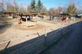 dji_fly_20250203_110820_182_1738579435826_photo.JP - Attraktive Reitanlage zwischen Montabaur und Limburg – Perfekte Infrastruktur und lukratives Investment.