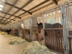 Bild - Attraktive Reitanlage zwischen Montabaur und Limburg – Perfekte Infrastruktur und lukratives Investment.