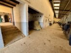 Bild - Attraktive Reitanlage zwischen Montabaur und Limburg – Perfekte Infrastruktur und lukratives Investment.