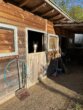 Bild - Haus mit Pferdestall, Roundpen und Reitplatz in ruhiger Ortsrandlage