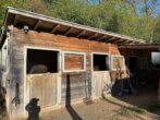 Bild - Haus mit Pferdestall, Roundpen und Reitplatz in ruhiger Ortsrandlage