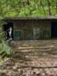 Bild - Haus mit Pferdestall, Roundpen und Reitplatz in ruhiger Ortsrandlage