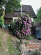 Bild - Haus mit Pferdestall, Roundpen und Reitplatz in ruhiger Ortsrandlage
