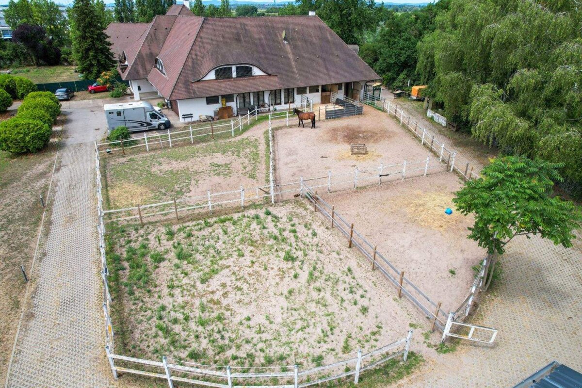 14-dji_fly_20260706_123622_131_1783335617337_photo