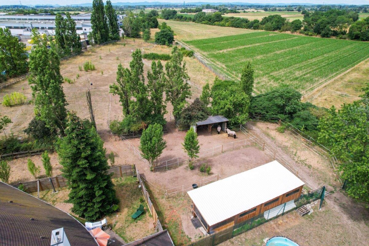 17-dji_fly_20260706_123734_136_1783335483750_photo