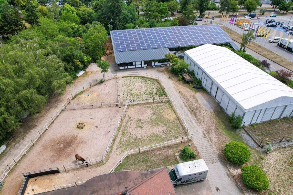 12-dji_fly_20260706_123548_129_1783335621707_photo