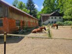 Bild - Idyllischer Pferdehof mit Wohnhaus