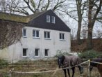 Bild - Idyllischer Pferdehof mit Wohnhaus