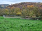 Bild - Hochrentable Reitanlage mit viel Land für artgerechte Pferdehaltung in Alleinlage