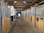 Exklusiver und großzügiger Pferdebetrieb mit Ferienwohnungen und modernisierten historischem Bauernhaus - Stall.JPG