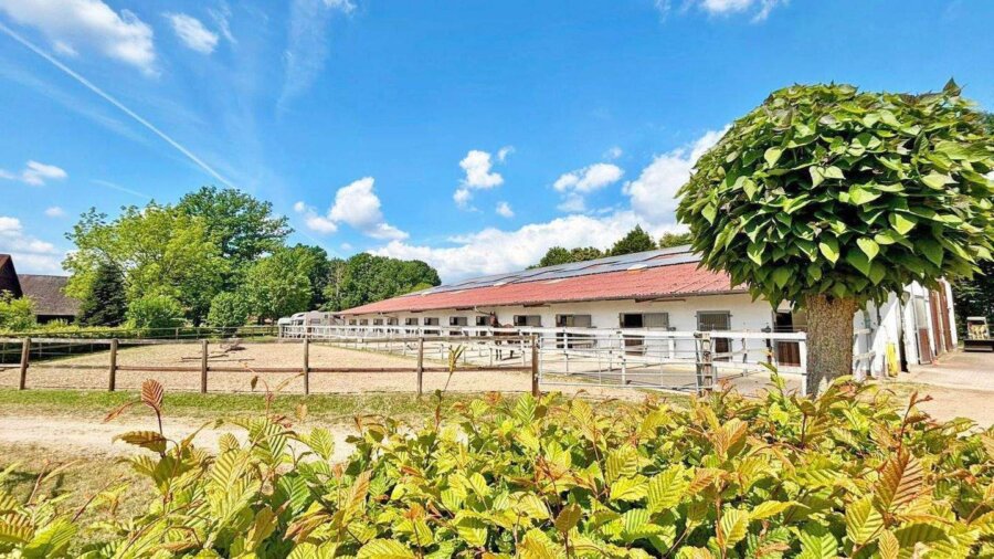 Exklusive Reitanlage mit großzügigem Wohnhaus und vielfältigen Nutzungsmöglichkeiten in Bielefeld, 33607 Bielefeld, Reiterhof