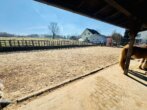 Bild - Traumhaftes Anwesen im Westerwald – Wohnen, Leben und Pferdehaltung vereint