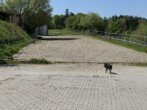 Bild - Bauernhof mit Pferdehaltung, 2,5 ha Grund, nahe München