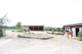 Bild - Reitanlage mit Wohnhaus, arrondierten Flächen und moderner PV-Anlage