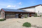 Bild - Reitanlage mit Wohnhaus, arrondierten Flächen und moderner PV-Anlage