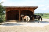 Bild - Reitanlage mit Wohnhaus, arrondierten Flächen und moderner PV-Anlage