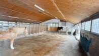 Bild - Reitanlage mit Wohnhaus, arrondierten Flächen und moderner PV-Anlage