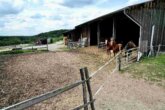 Bild - Exklusive Reitanlage im Großraum Nürnberg – 27 Hektar, 3 Wohnhäuser Aufteilung in 2 Reitanlagen + separater Verkauf möglich