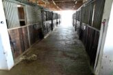 Bild - Exklusive Reitanlage im Großraum Nürnberg – 27 Hektar, 3 Wohnhäuser Aufteilung in 2 Reitanlagen + separater Verkauf möglich