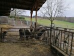 Bauernhof mit Panorama-Blick - Wohnen mit Tieren - 5.jpg