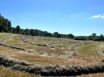 Bild - Grünland mit genehmigtem Bauprojekt für Wohnen & Pferdehaltung nähe 36355 Grebenhain – 3,6 ha mit Traumlage
