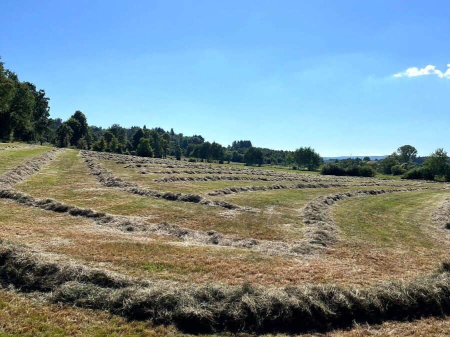 Grünland mit genehmigtem Bauprojekt für Wohnen & Pferdehaltung nähe 36355 Grebenhain – 3,6 ha mit Traumlage, 36355 Grebenhain, Reiterhof