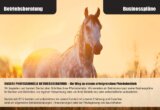 Rentabler Pferdebetrieb mit vielfältigen Nutzungsmöglichkeiten - BEtriebsberatung+.png