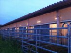 Bild - Reitanlage in der Metropolregion Rhein-Neckar – optional zzgl. Wohnhaus