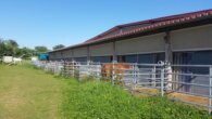 Bild - Reitanlage in der Metropolregion Rhein-Neckar – optional zzgl. Wohnhaus
