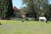 Bild - Reiterhof mit großzügigem Wohnhaus im Weserbergland