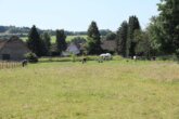 Bild - Reiterhof mit großzügigem Wohnhaus im Weserbergland