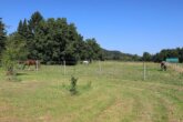Bild - Reiterhof mit großzügigem Wohnhaus im Weserbergland