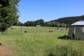 Bild - Reiterhof mit großzügigem Wohnhaus im Weserbergland