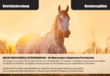 Bild - Exklusives Angebot: Traumhafter Reitstall und Lehrbetrieb in idyllischer Lage im Veneto